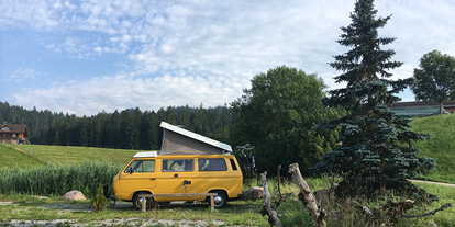 Anbieter - Fahrzeugarten: Mietfahrzeuge - CampBär's T3 Westfalia auf einem wunderschönen Naturcampingplatz - DD1 GmbH - CampBär Campervermietung